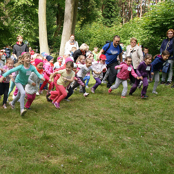 XVI Olimpijska Majówka – DZIWNÓW 2015