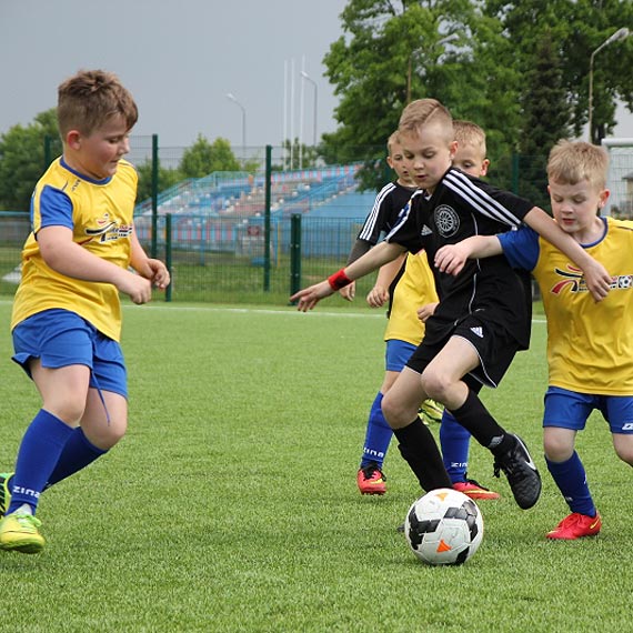 Niepokonani Gryfiarze zwyci�zc� Zachodniopomorskiej Ligi �ak�w!
