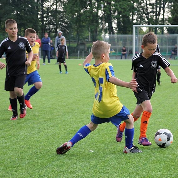 Niepokonani Gryfiarze zwyci�zc� Zachodniopomorskiej Ligi �ak�w!