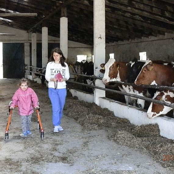 Przedszkolaki w gospodarstwie w Jarszewie
