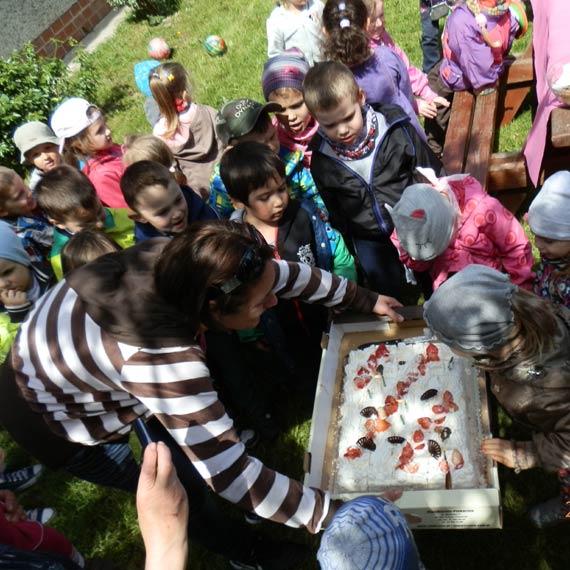 Przedszkolaki w gospodarstwie w Jarszewie