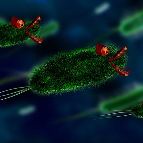 Mi�so�erna bakteria grasuje w Ba�tyku! W tym roku zabi�a ju� 2 osoby!