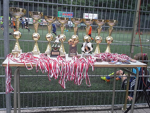 Pierwsze miejsce m�odych Gryfiarzy na Turnieju w Szczecin D�biu!
