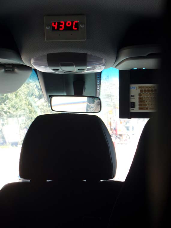 Subtropikalna podr�