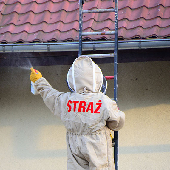 R�j os w o�rodku z kolonistami