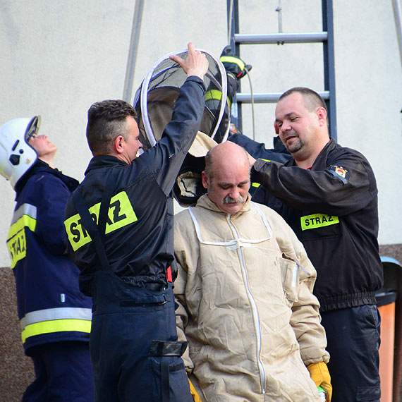 R�j os w o�rodku z kolonistami