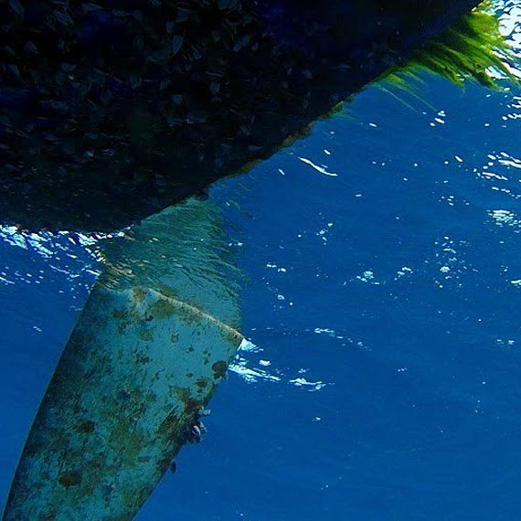 50 dni na Oceanie - cz. 1