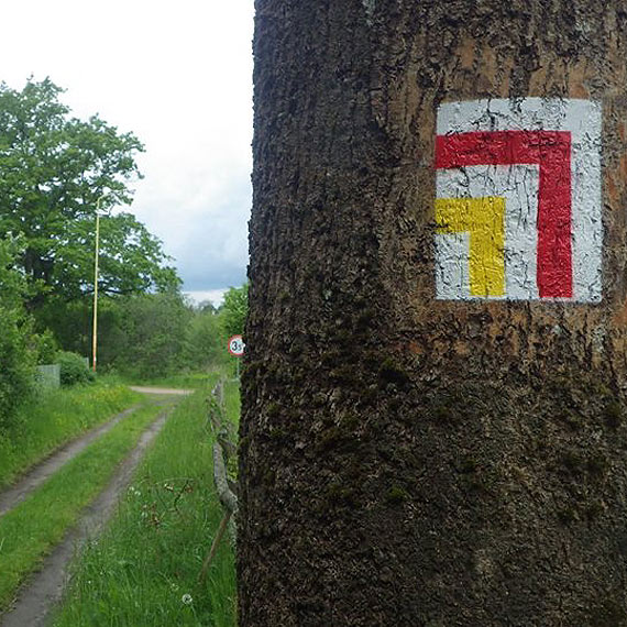 Renowacja szlak�w turystycznych w gminie Golczewo