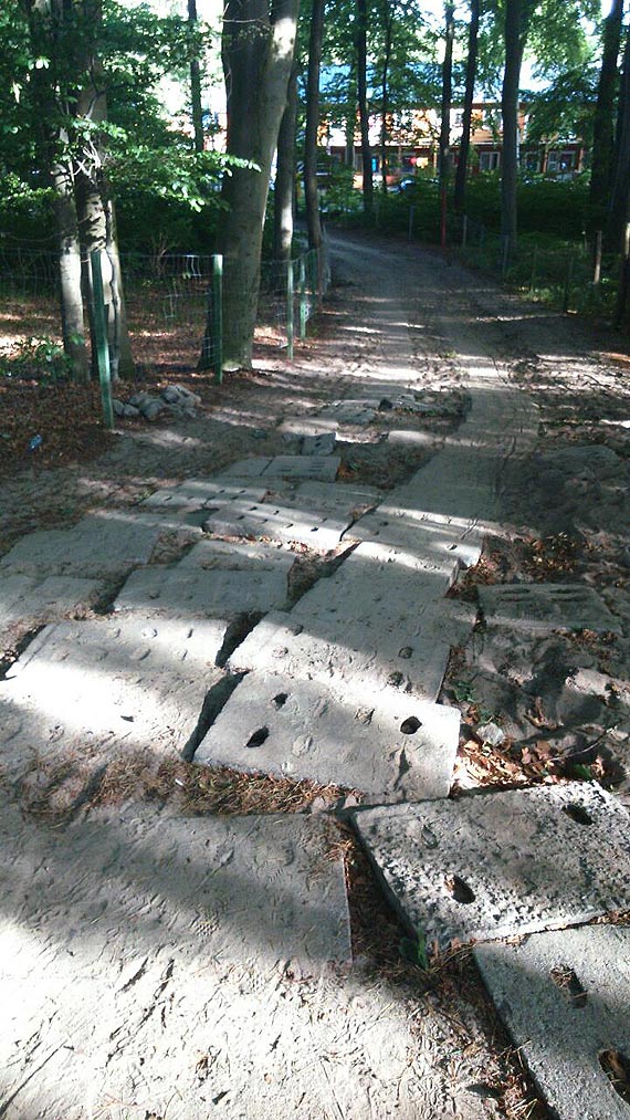 Czytelniczka: Z w�zkiem nie przejedziesz