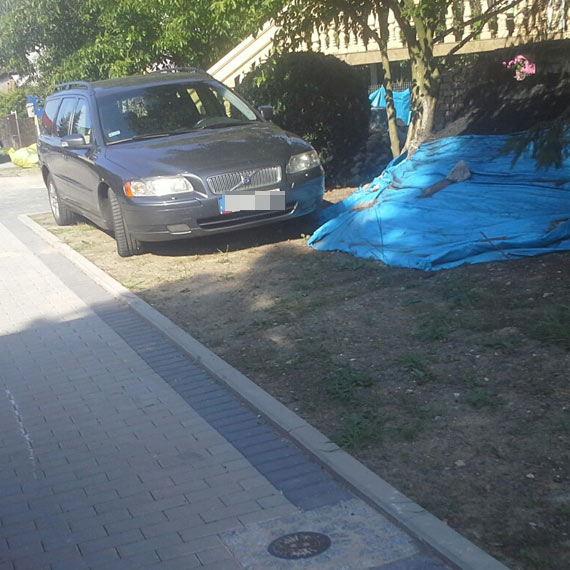 Czytelnik: W Wolinie mistrzowie parkowania nie szanuj� zieleni...