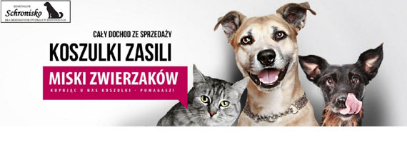 Nakarm psiaka i b�d� modny tego lata! Akcja schroniska w Sosnowicach