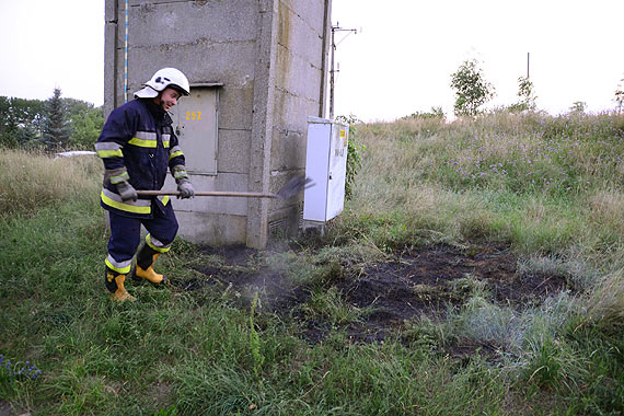 W Wicku zap�on�a trawa