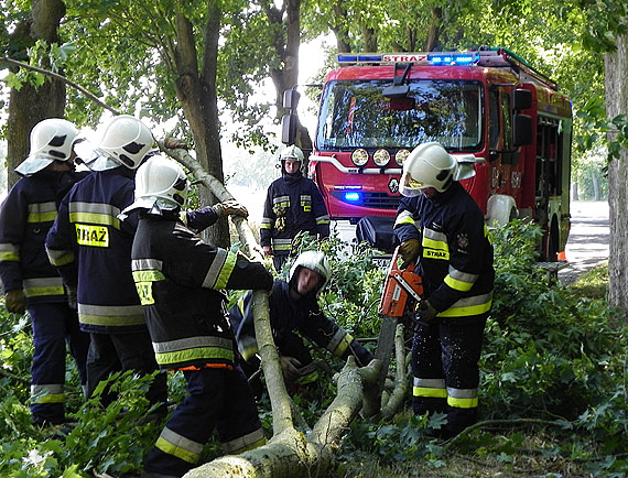 Na drodze Rec�aw-Laska spad�a ga���! Ruch by� sparali�owany, interweniowali stra�acy