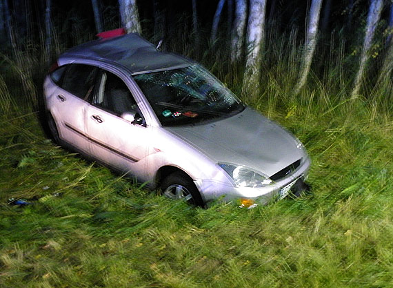 Dzik przyczyn� gro�nego wypadku drogowego