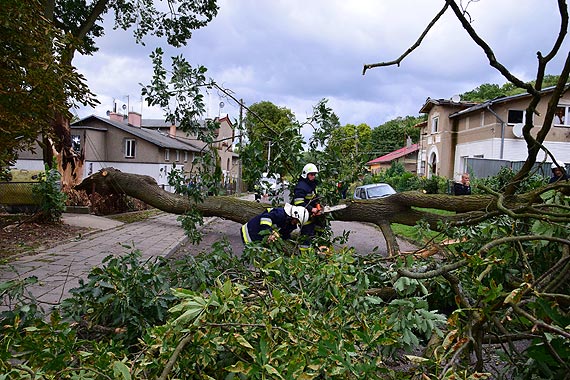 O w�os od tragedii- wichura przewr�ci�a stary d�b- Lubin chwilowo odci�ty. Zobacz film! 