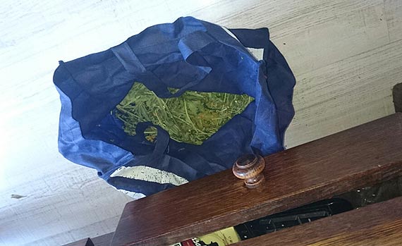 Udzielał narkotyki...mamie i babci