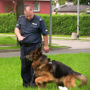 Bezpieczne wakacje z kamie�sk� policj�