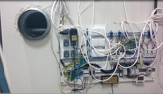 Funkcjonariusze CB�P zabezpieczyli blisko tysi�c krzak�w konopi