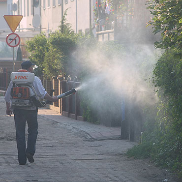 Ruszy�a akcja odkomarzania