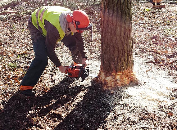 Zakończyła się realizacja projektu edukacyjnego „Najlepszy w zawodzie”