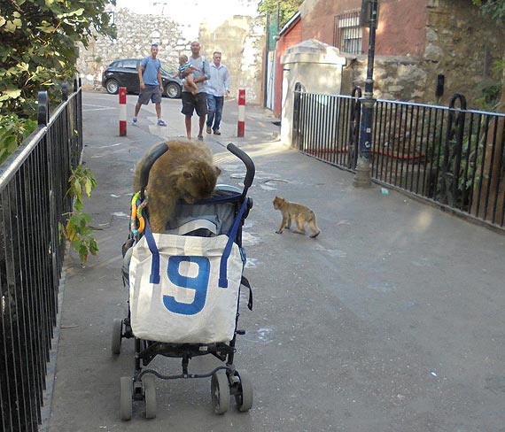 Sputnikiem dooko�a Ziemi - u wr�t Atlantyku