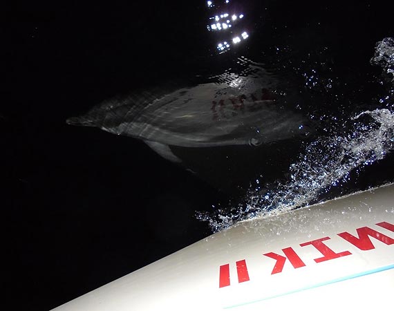 Sputnikiem dooko�a Ziemi - u wr�t Atlantyku