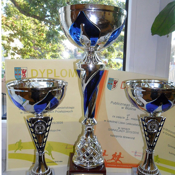 Woli�scy gimnazjali�ci najlepsi w Powiecie Kamie�skim w roku szkolnym 2014/2015