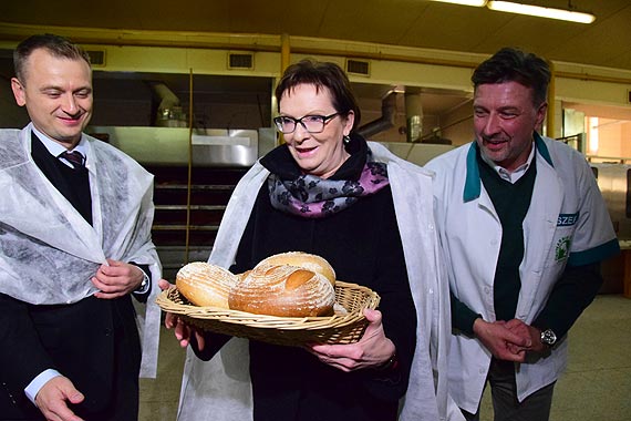 Szefowa Platformy Obywatelskiej i rzdu RP Ewa Kopacz w Kamieniu Pomorskim