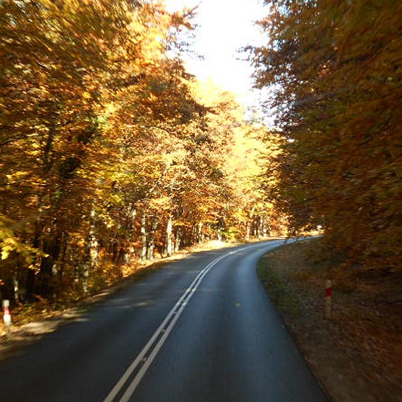 Wycieczka do Batyckiego Parku Miniatur i na wzgrze Gosa 28.10.2015
