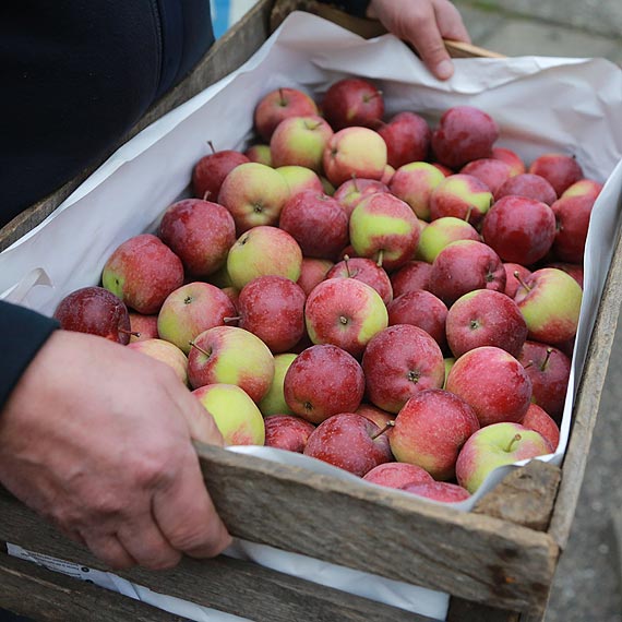 Pan Andrzej przekaza� polskie jab�ka Rosyjskiej za�odze STS Kruzenshtern: Prezydencie Putin, smacznego! Zobacz film!