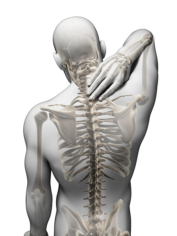 Przebadaj� ko�ci w �winouj�ciu