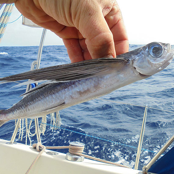 Relacja z pokadu Sputnika 