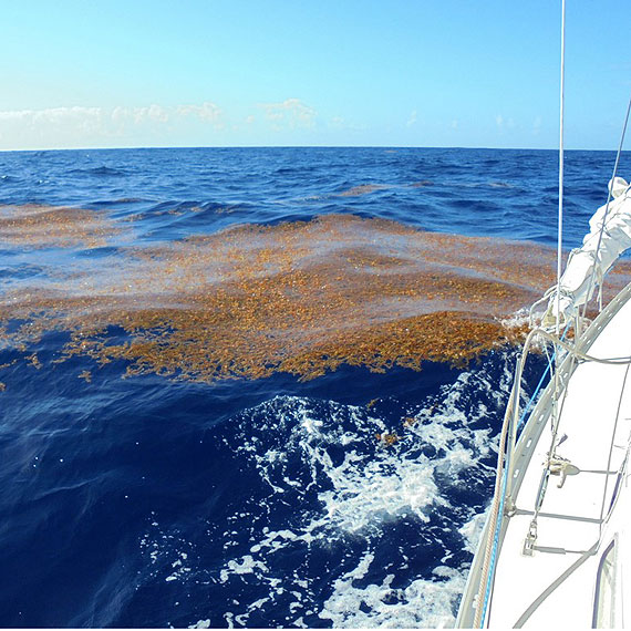 Relacja z pokadu Sputnika 