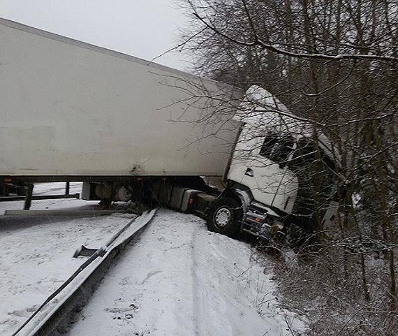 �lisko na drogach- apel o rozwag�