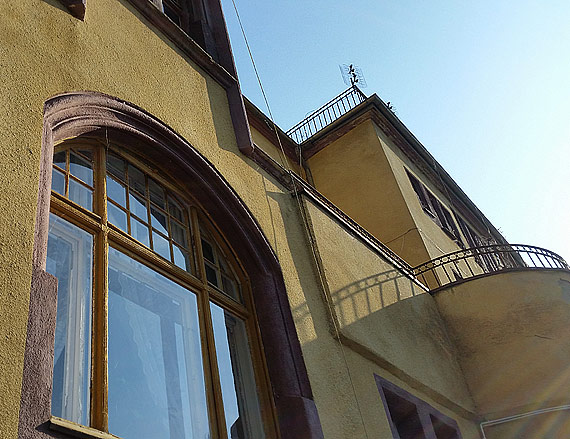 Dyrektor Domu Pomocy Spoecznej w niatowie straci stanowisko