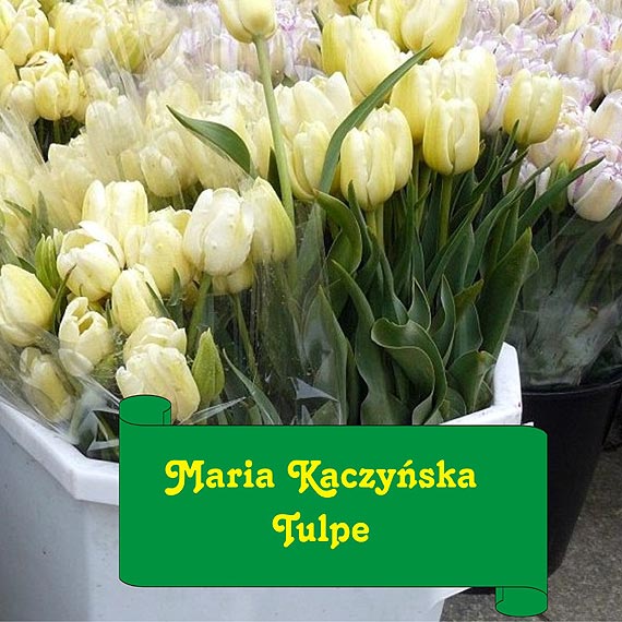 Co z miejscem upamitniajcym zbrodni katysk i ofiary katastrofy smoleskiej