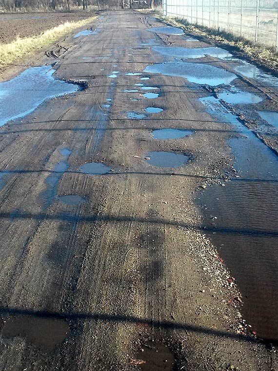 Czytelnik: Droga Gostyń-Rybice jest w tragicznym stanie... Wójt Świerzna odwraca głowę od problemu?