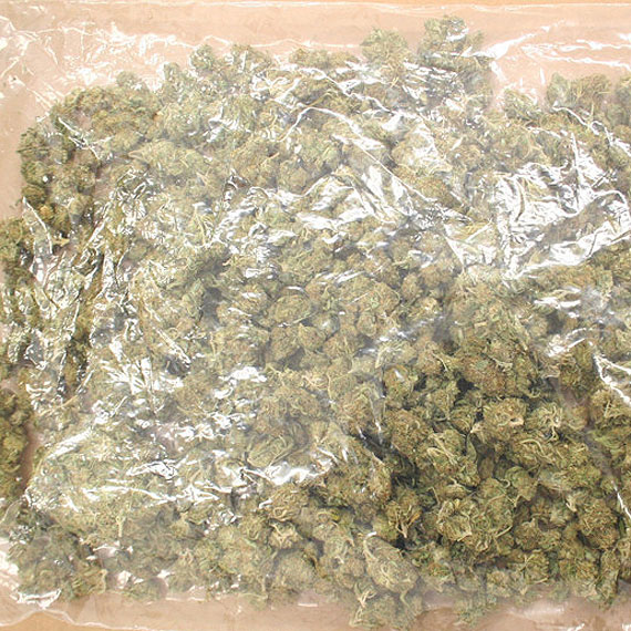 Policjanci zabezpieczyli ponad 5,5 kg marihuany