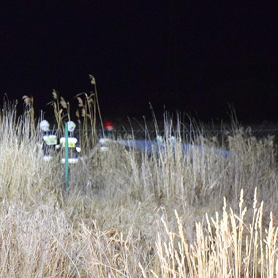 Poar trzcin i traw w Wapnicy