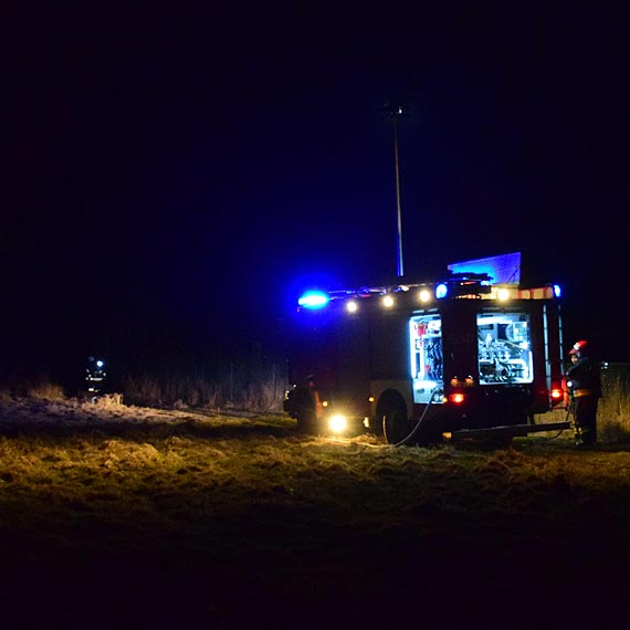 Poar trzcin i traw w Wapnicy