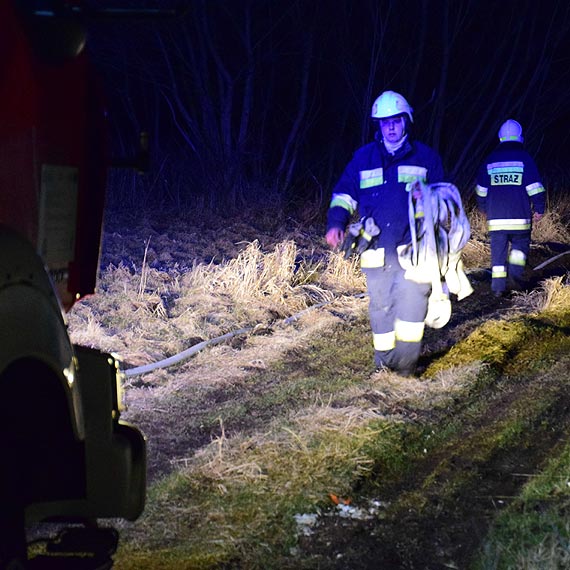 Poar trzcin i traw w Wapnicy