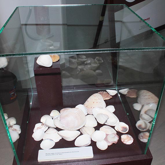 Kamieskie muzeum ma nam guzik do pokazania...