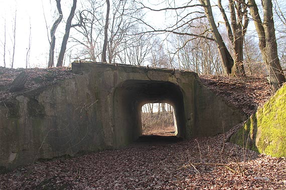 Stuletnie budowle inynierskie w podgolczewskim lesie
