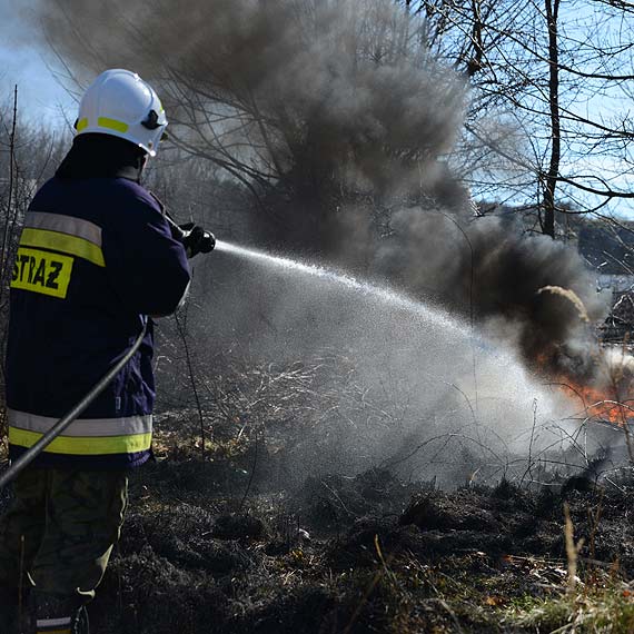Płoną trawy w powiecie kamieńskim