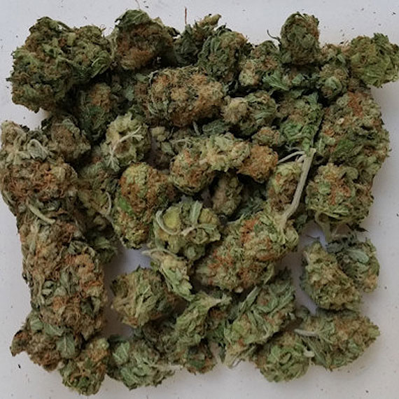 10 areszt�w dla cz�onk�w zorganizowanej grupy przest�pczej