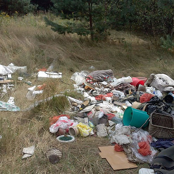 Razem zlikwidujmy dzikie wysypiska