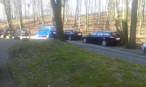 ... A piesi niech chodzą po jezdni