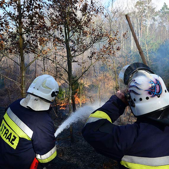 W gminie Golczewo spon hektar lasu. Do akcji ruszy samolot ganiczy