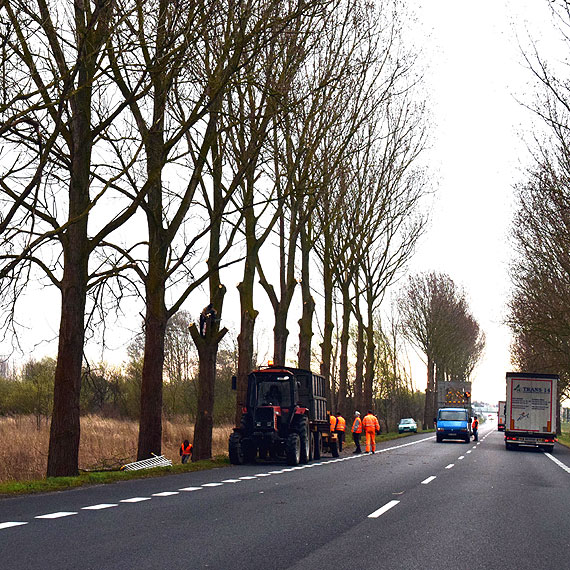 Czytelnik: Wida wiosenne porzdki na drogach