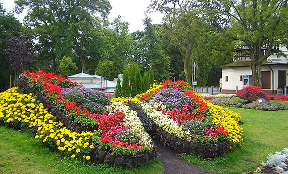 Midzyzdroje ukwiecone do granic moliwoci!